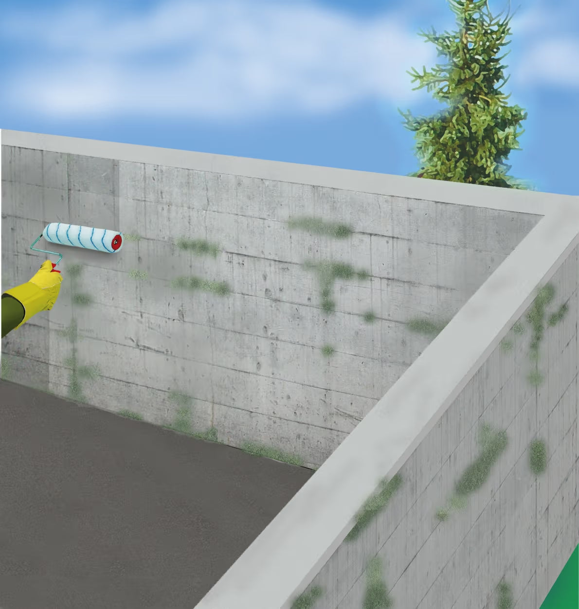 Sika Gard 701 W